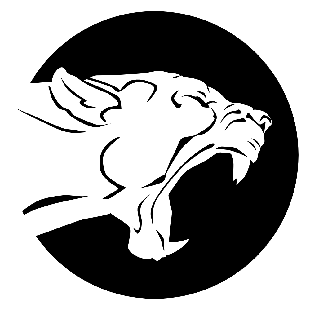 USV Halle Handball – Panther